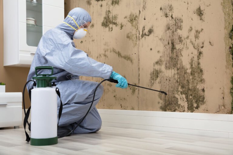 Common Signs Your Property May Need Mold Remediation