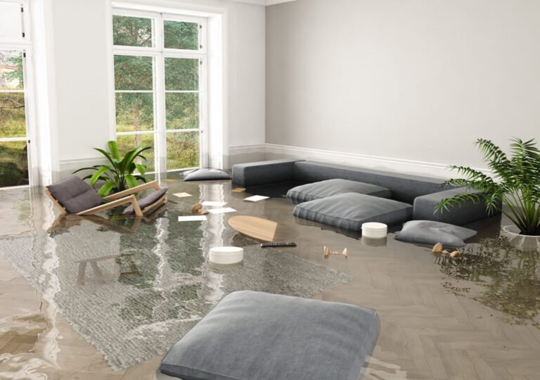 How to Minimize Water Damage Before Professionals Arrive