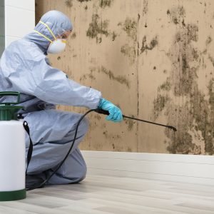 Pest Control Worker In Uniform Spraying Pesticide On Damaged Wall With Sprayer