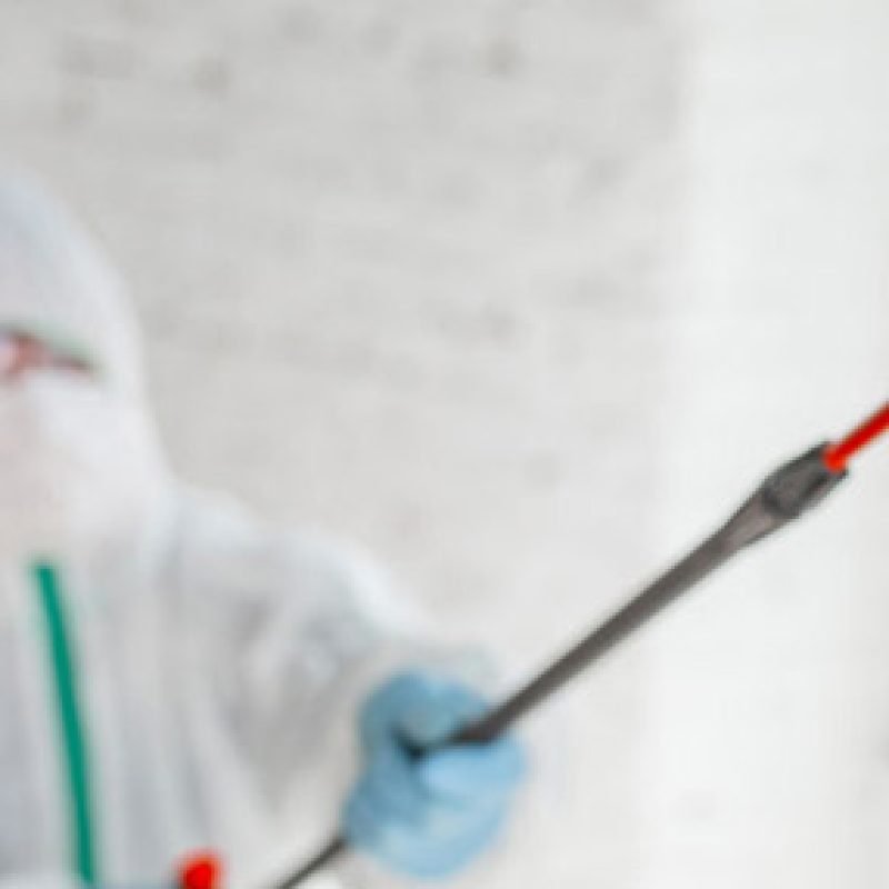 mold-remediation